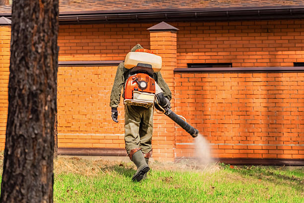 Trusted Cockroach Control service in Little River, SC - Nex Pest Control